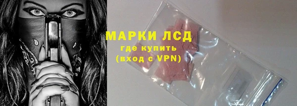 индика Бугульма