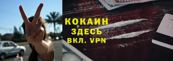 гидра Бородино