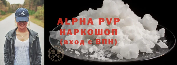 гидра Бородино