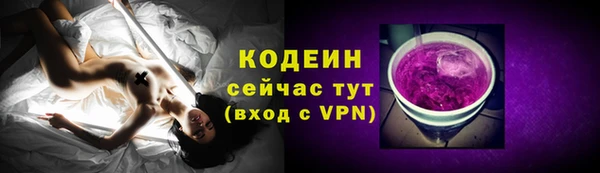 индика Бугульма