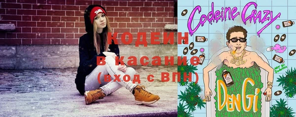 индика Бугульма