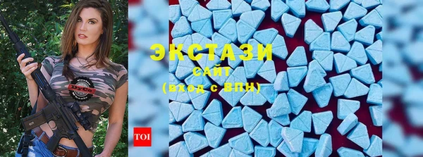 гидра Бородино