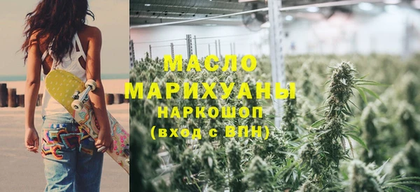 гидра Бородино