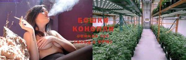 индика Бугульма