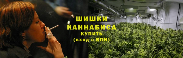 гидра Бородино