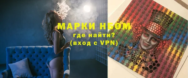 индика Бугульма