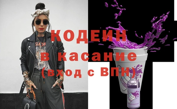 индика Бугульма